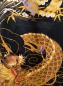 Preview: Detail des Drachenmotivs auf dem Seidenkimono