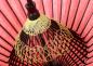 Preview: Japan Tradition Sonnenschirm rot 80cm