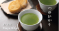 Preview: Tsuyu Hikari Sencha grüner Tee 60g
