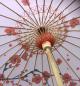 Preview: Pflaumenblüte Japan Sonnenschirm Einzelfertigung 87cm