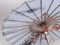 Preview: Flusslandschaft Sonnenschirm aus Papier 84cm