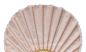 Preview: Fächer Muschelform mit Spitze pink