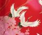 Preview: Detail des Kranichmotivs auf rotem Happi Kimono Tsuru