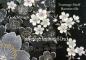 Preview: Kimono Sakura (Kirschblüte) schwarz, lang, Dame verschiedene Größen