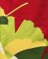 Preview: Noren Gingko 85 x 150 cm
