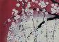 Preview: Noren Moonlight Sakura rot 85 x 150 cm