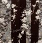 Preview: Kimono Sakura (Kirschblüte) schwarz, lang, Dame