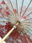 Preview: Schirm Rote Blumen Nylon