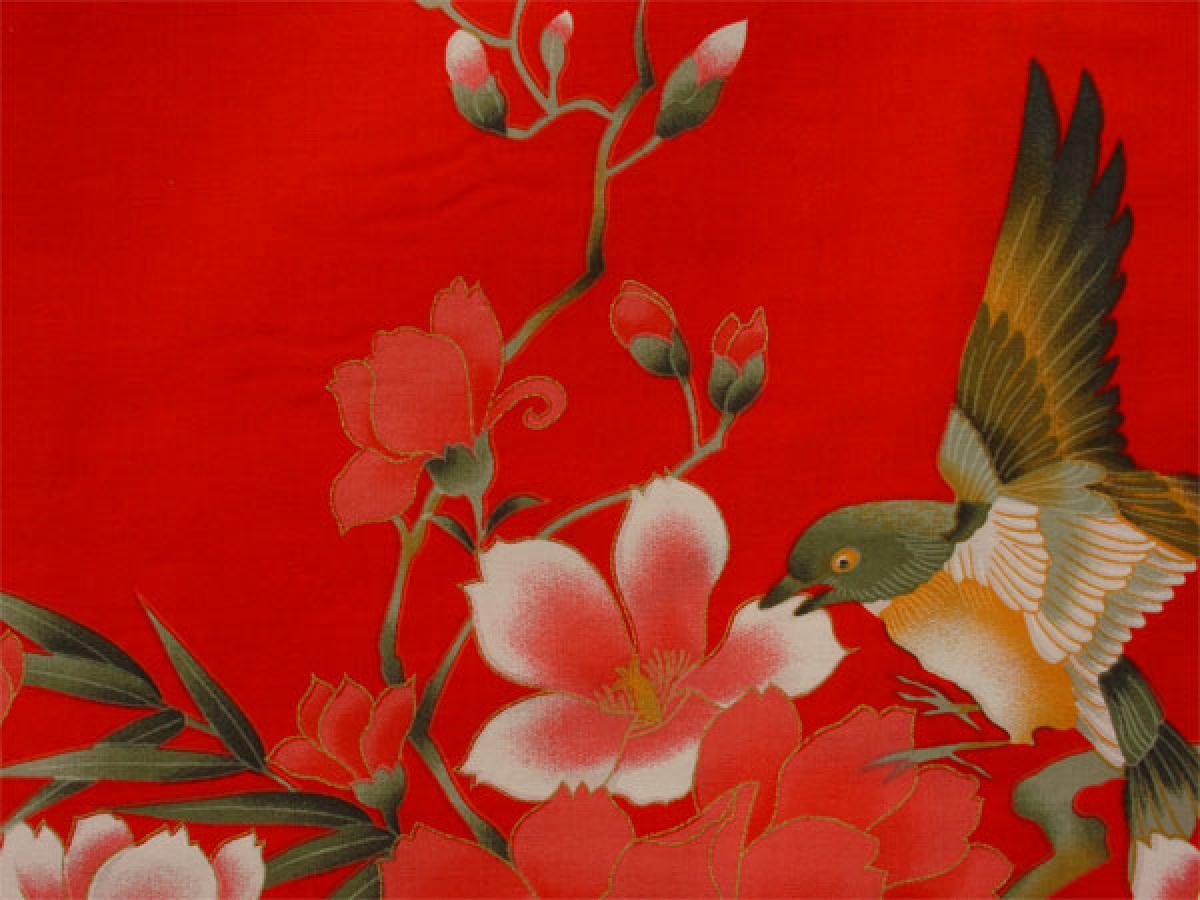 Damen Kimono Hana rot