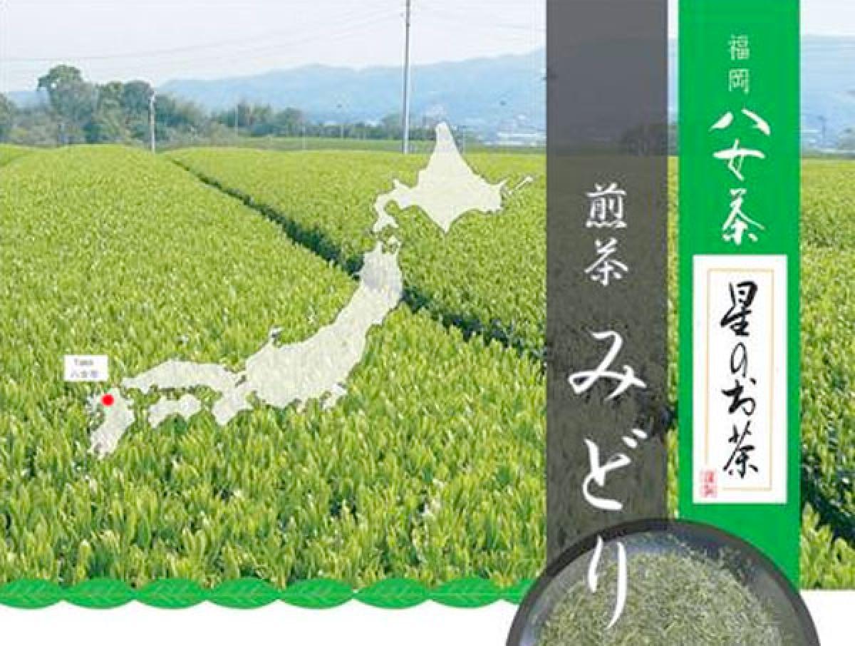 Sencha Midori No. 2, 100g grüner Tee