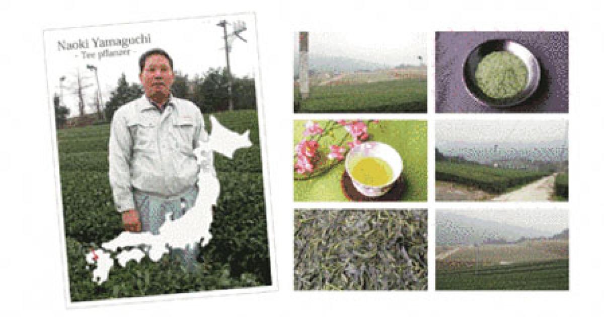 Sencha Kame Silber 100g, grüner Tee