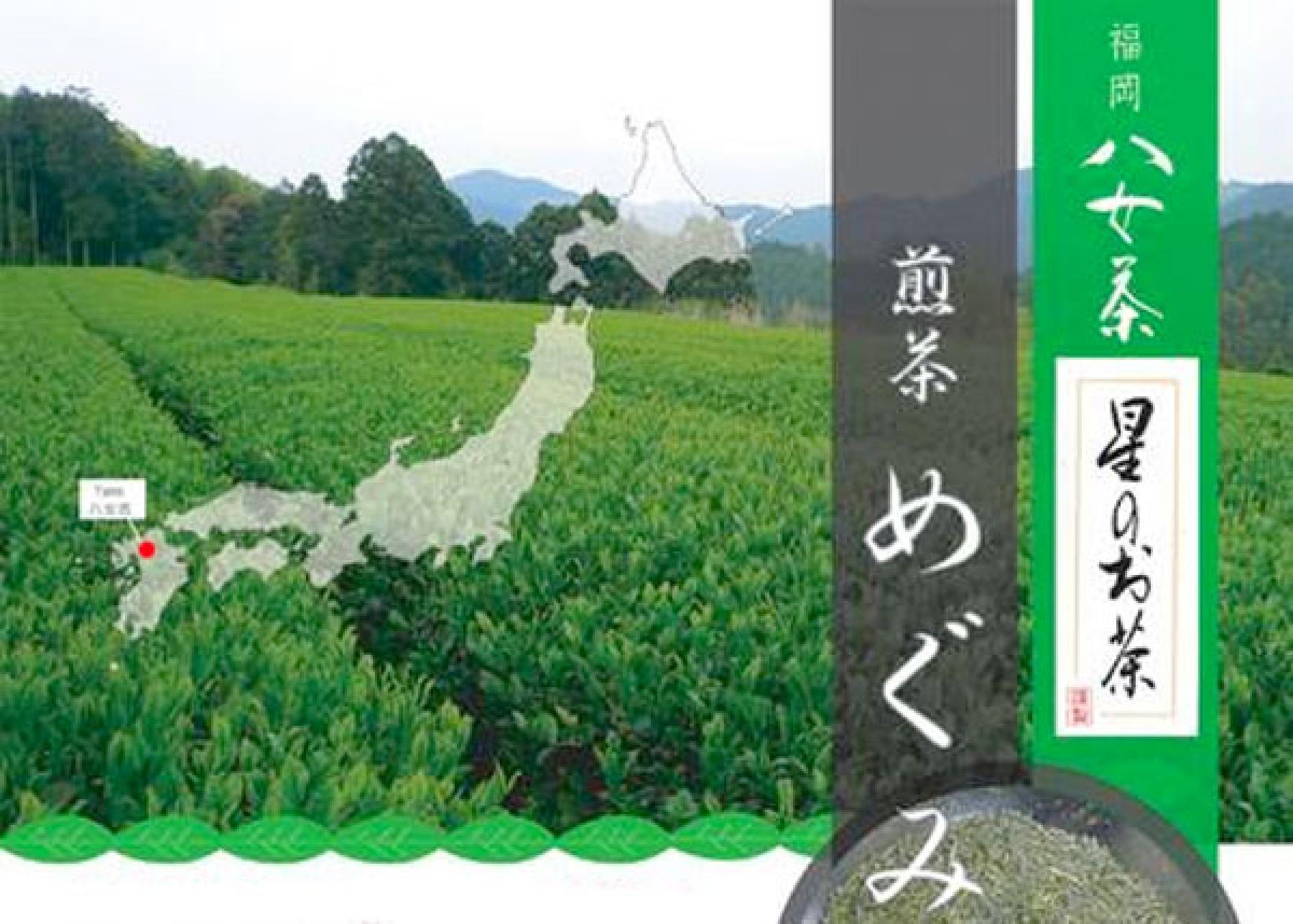 Sencha Megumi No. 1 100g, grüner Tee