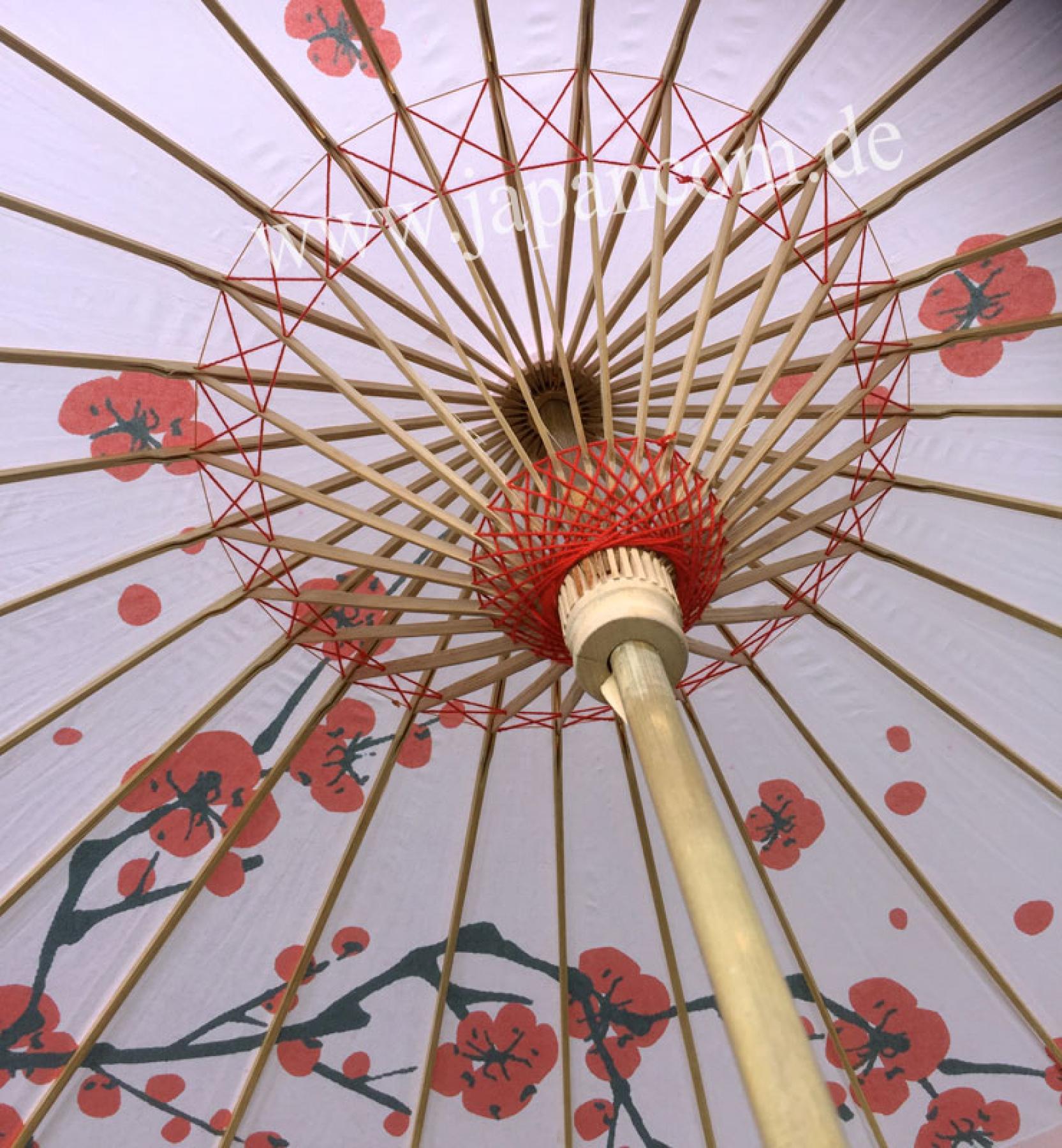 Pflaumenblüte Japan Sonnenschirm Einzelfertigung 87cm