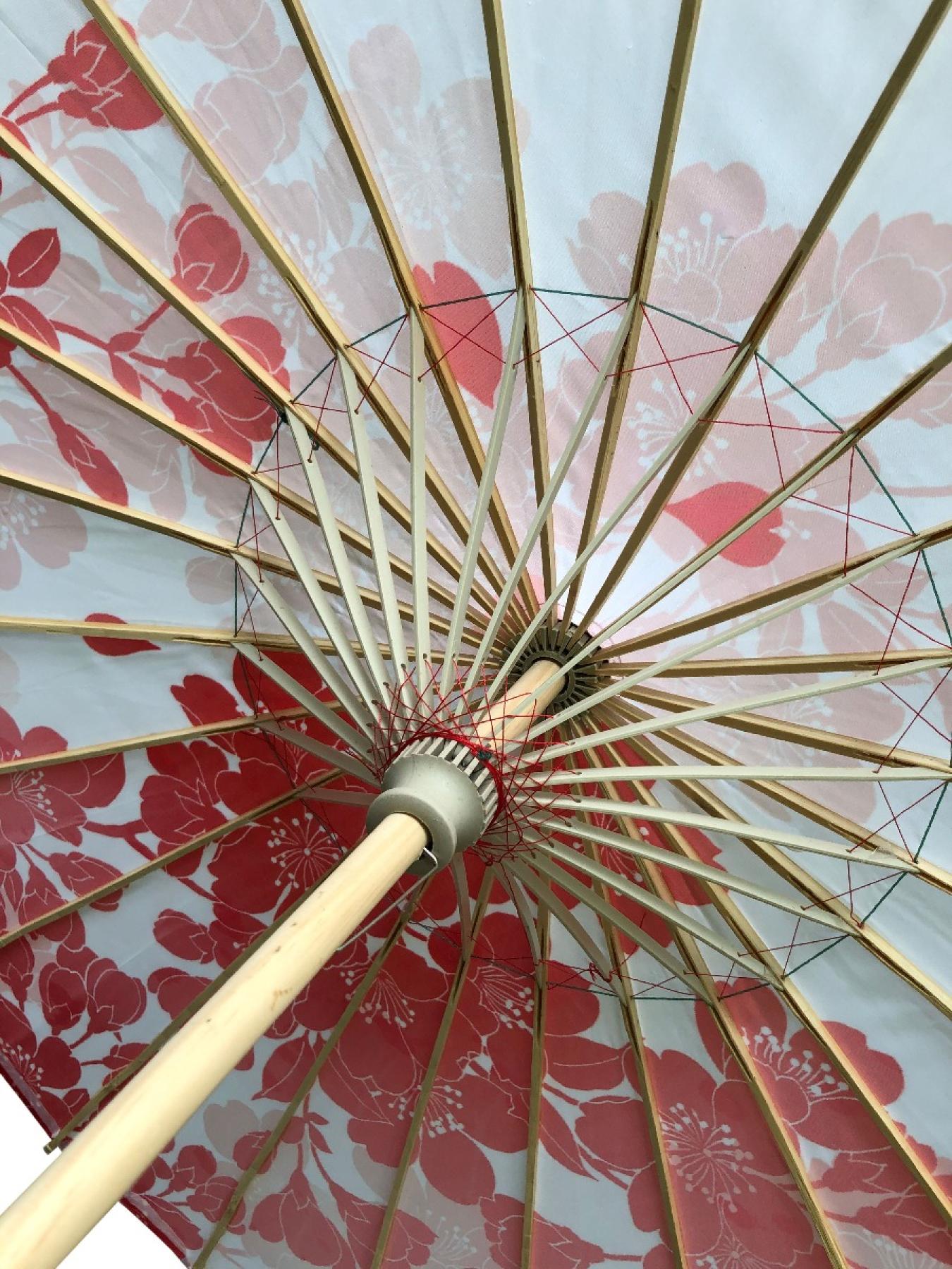 Schirm Rote Blumen Nylon