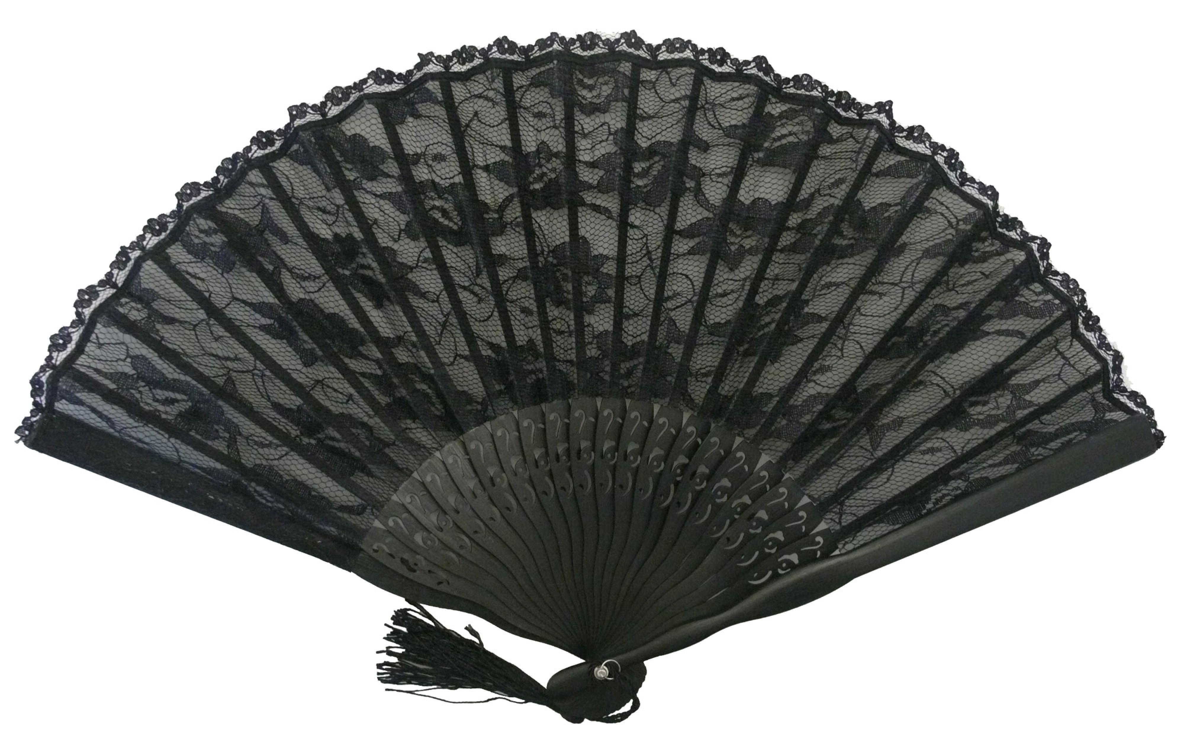 Fächer Spitze schwarz