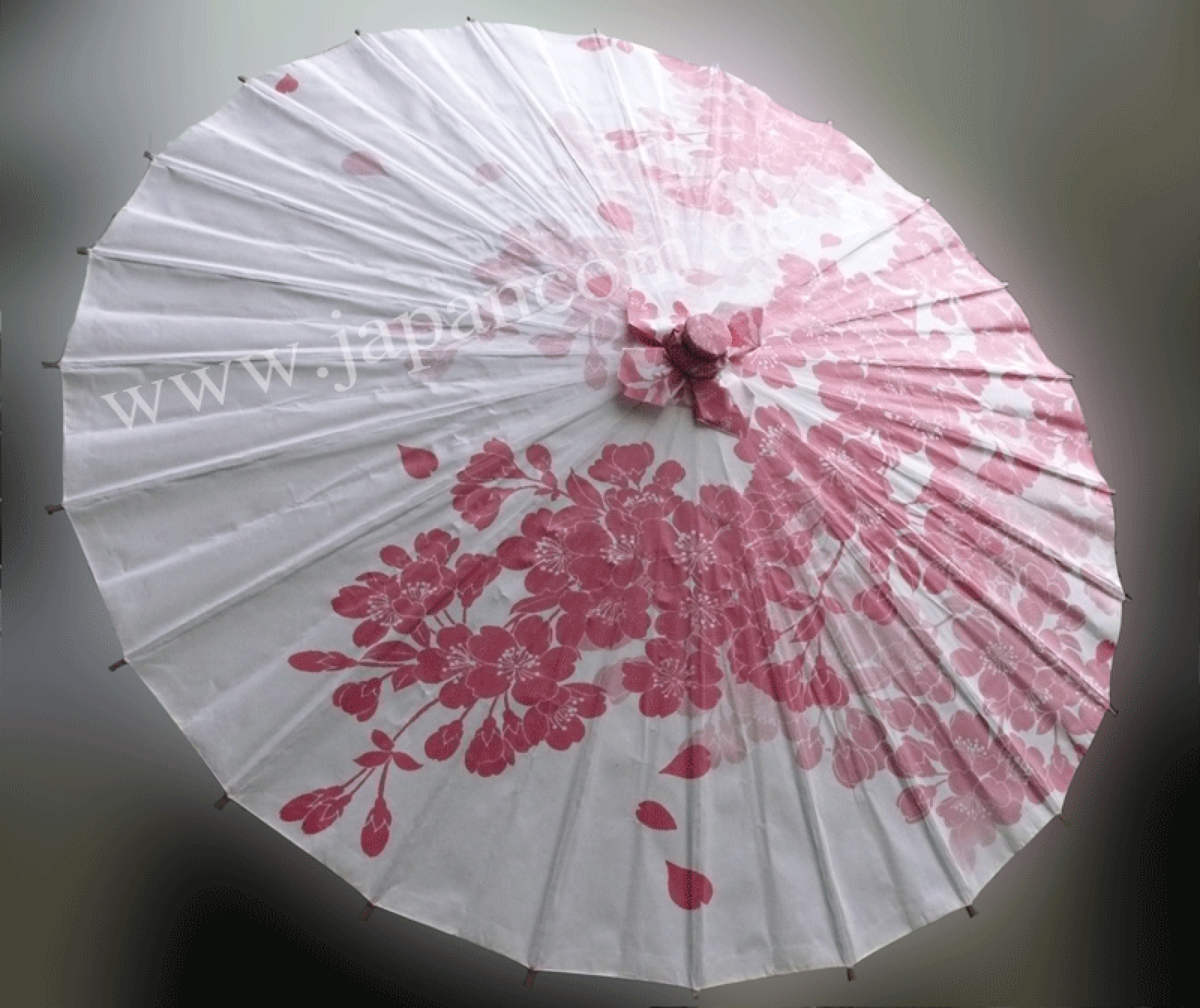 Sakura Kirschblüte Sonnenschirm 84cm